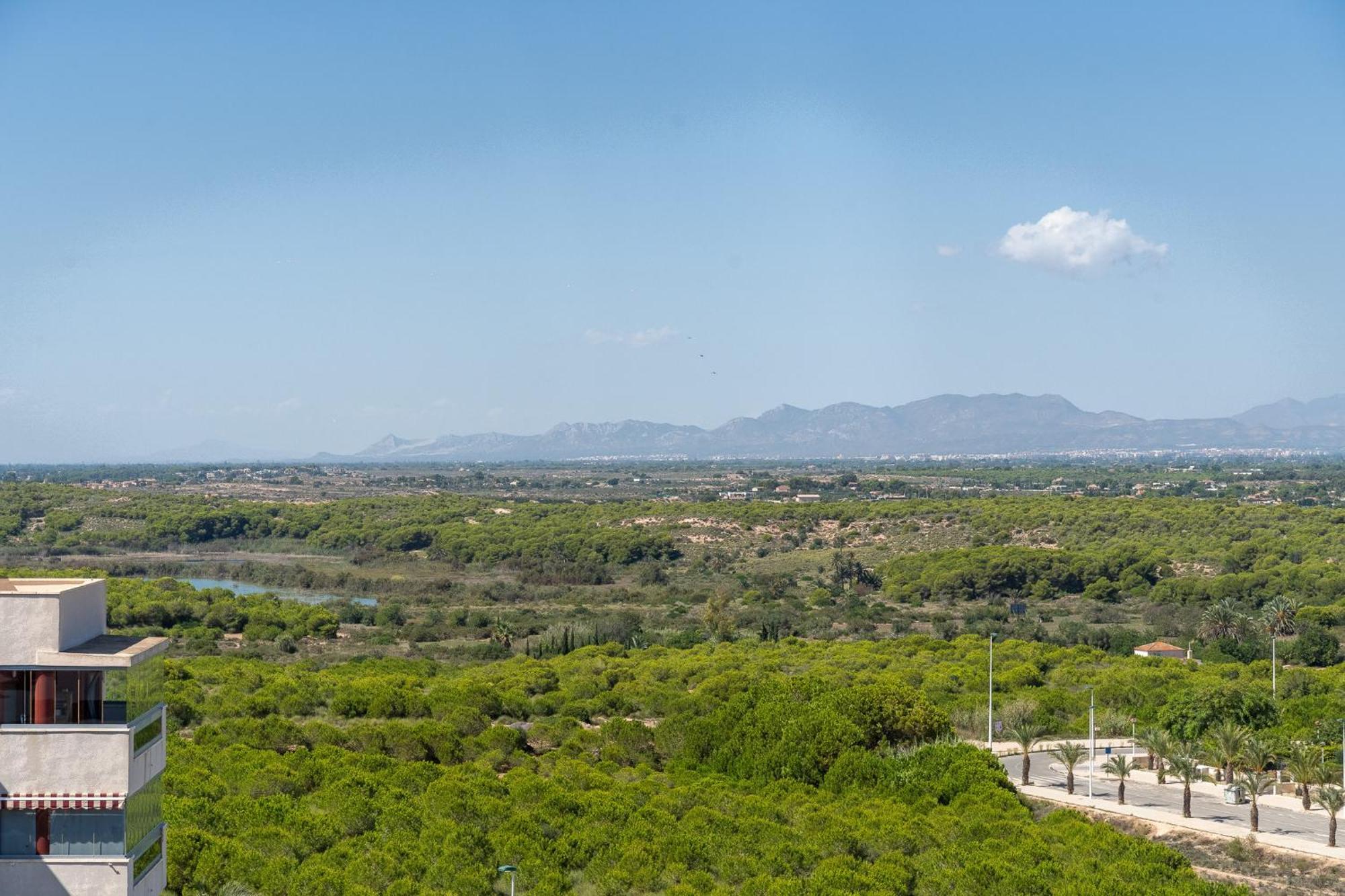 Arenales Bahia Penthouse Apartment Arenales del Sol Bagian luar foto